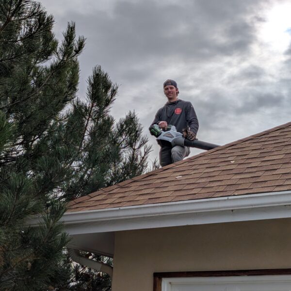 PXL_20251112_173936654-min