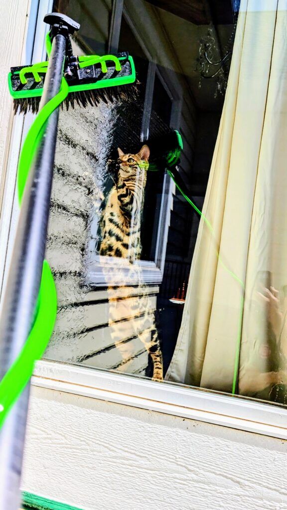 Spring Window Cleaning